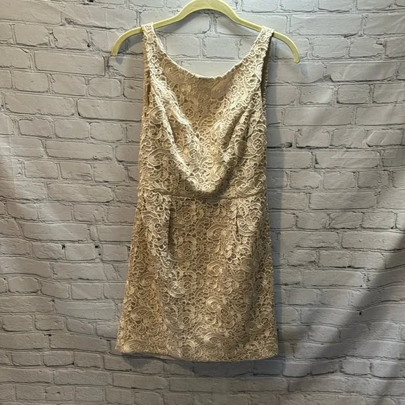 Aidan Mattox | Sleeveless Lace Jacquard Champagne Mini Cocktail Dress | Size 8 - Picture 2 of 8